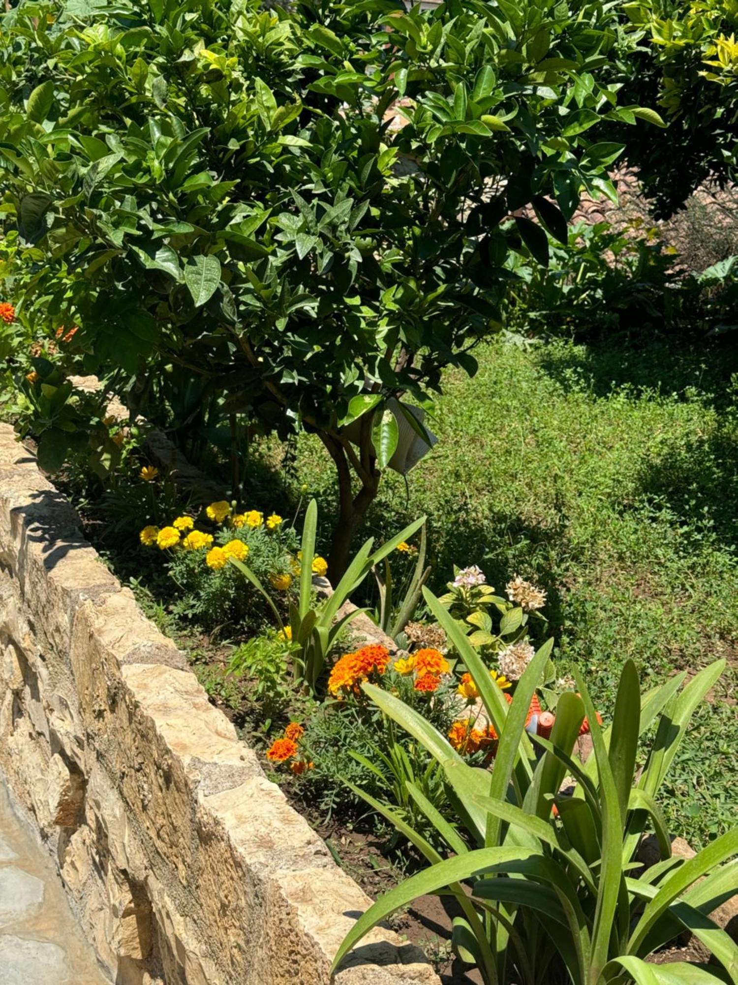 Meroli Guesthouse - Unesco Quarter Berat Zewnętrze zdjęcie