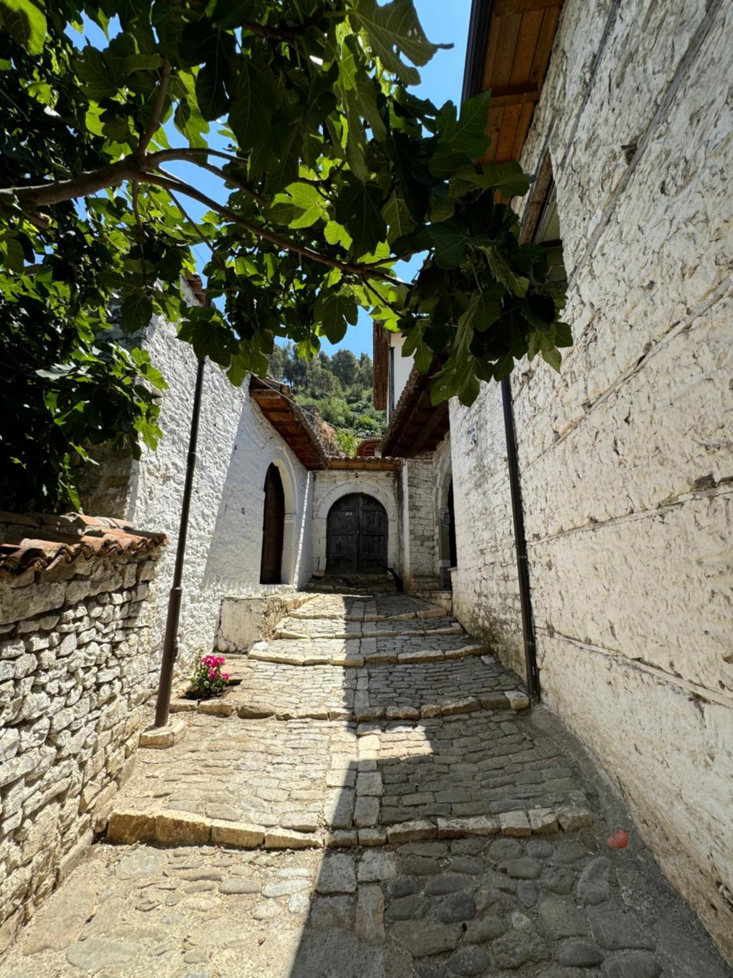 Meroli Guesthouse - Unesco Quarter Berat Zewnętrze zdjęcie